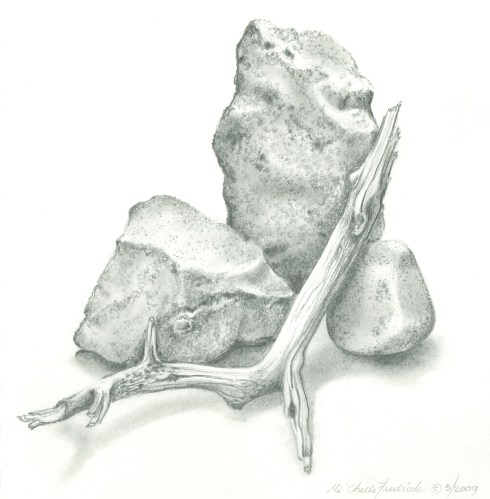 Sierra Still Life-Web