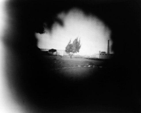 Companion to California