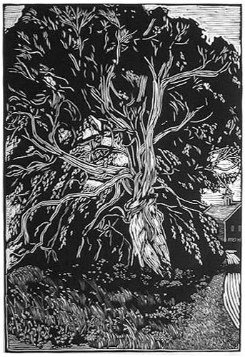 ct_davenportlanding2